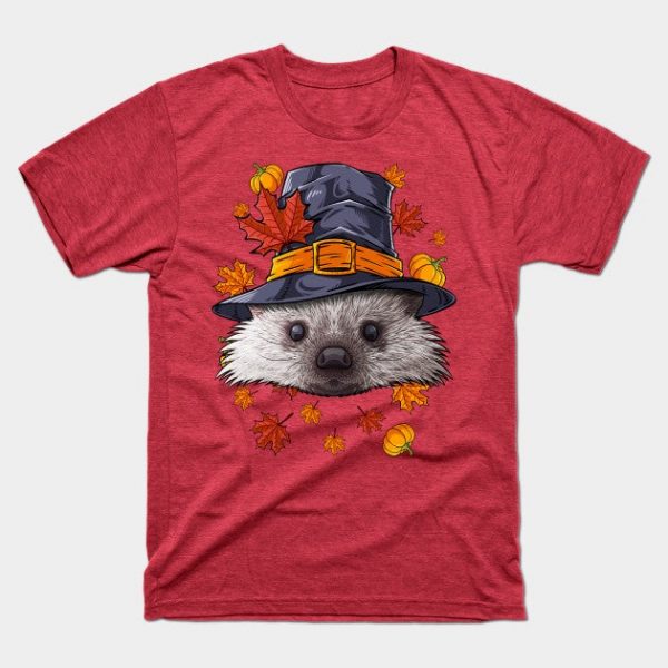 Thanksgiving Hedgehog Pilgrim Costume Fall Autumn